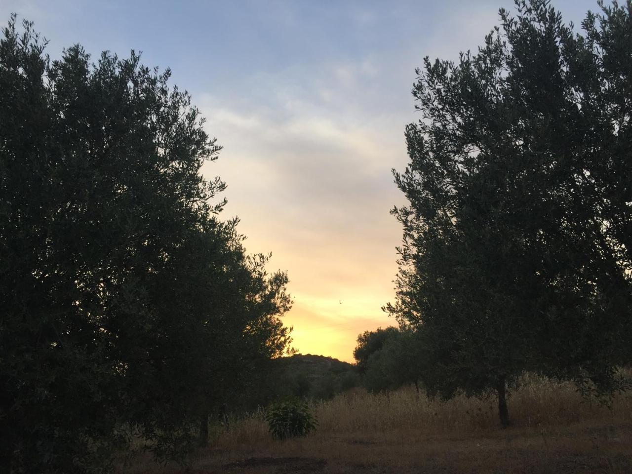 Agriturismo Saccollino San Paolo  Bagian luar foto
