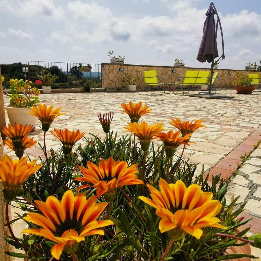 Agriturismo Saccollino San Paolo  Bagian luar foto
