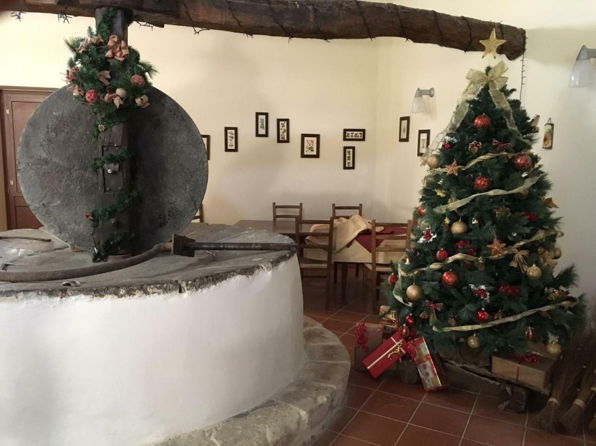Agriturismo Saccollino San Paolo  Bagian luar foto