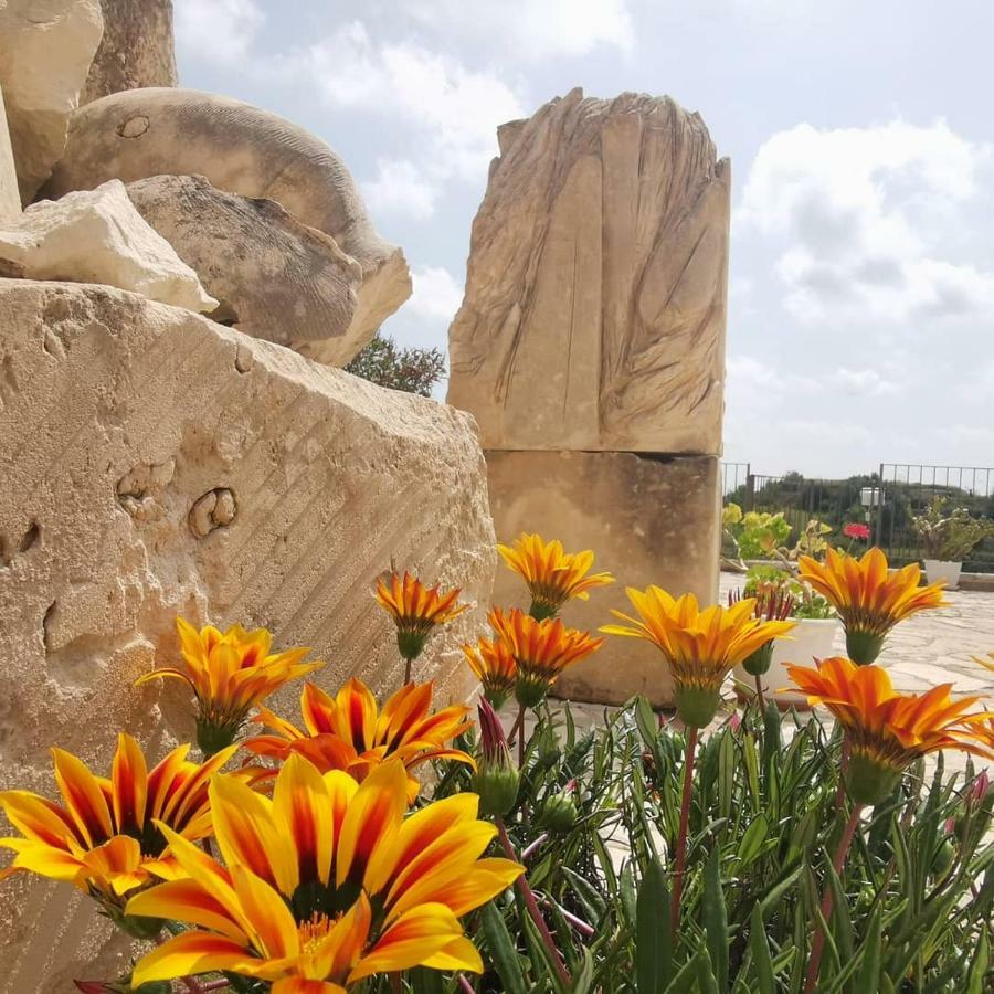 Agriturismo Saccollino San Paolo  Bagian luar foto